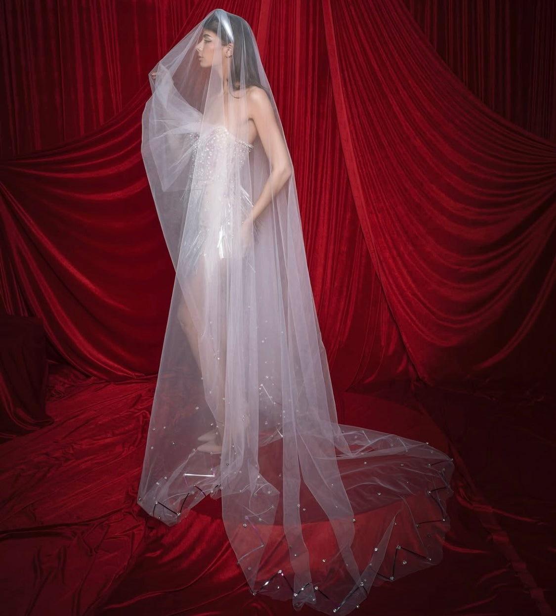 Nude Embellished Gown with Veil