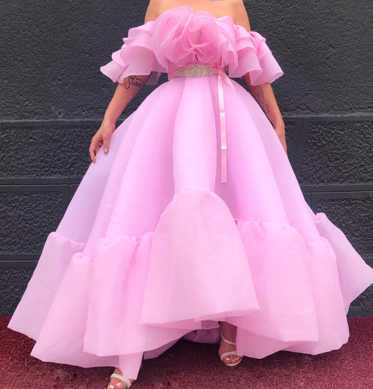 Pink Organza Silk Gown