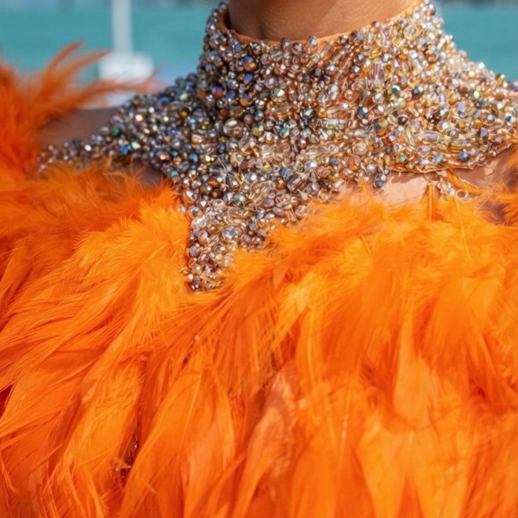Orange Feathers Set