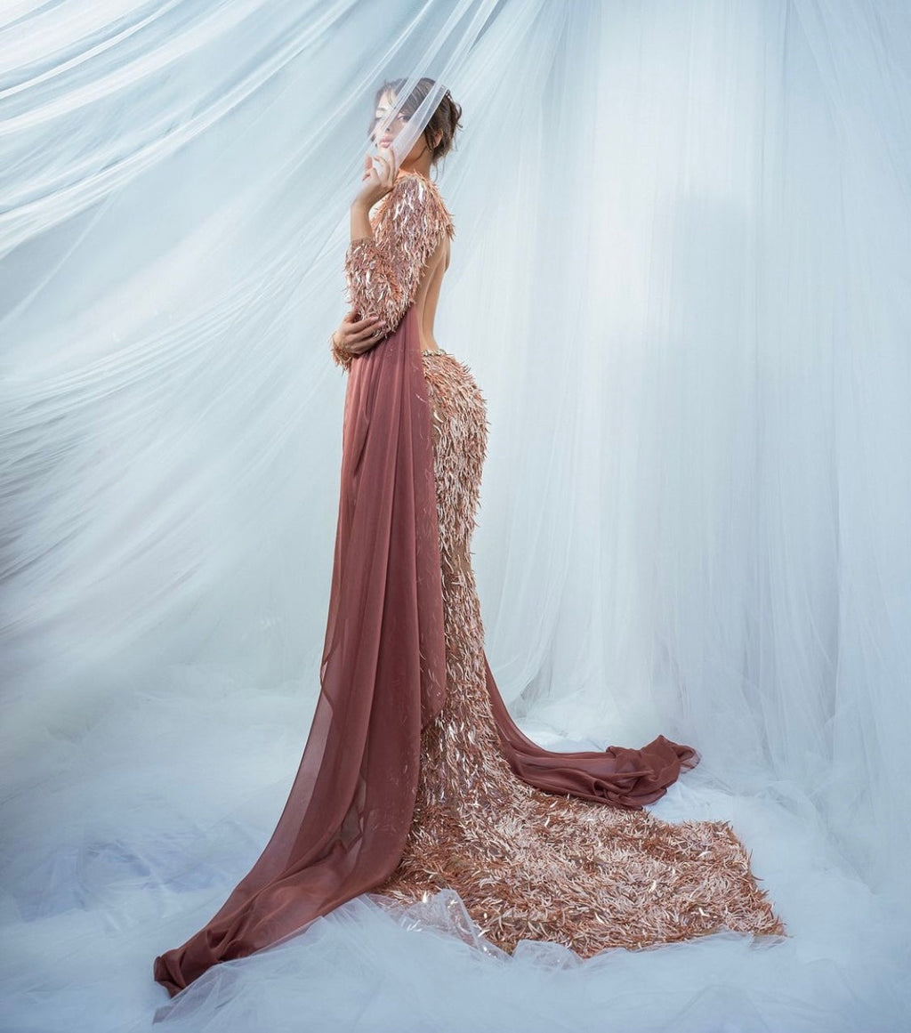 Nude Fringes with Silk Sleeves Gown